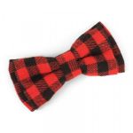 Zöon Beau Tie - Red & Red Check - 2 Pack